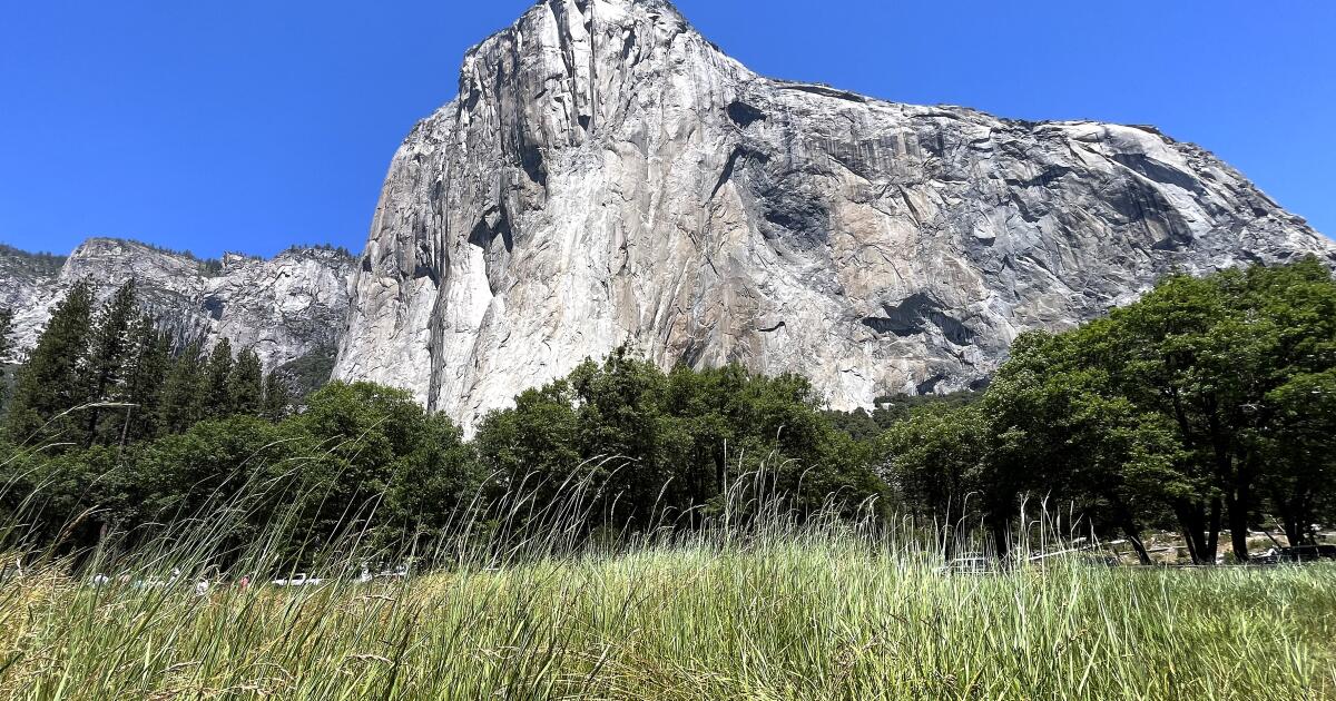 Featured image for Prominent Climber Dies in Fall from Yosemite’s El Capitan