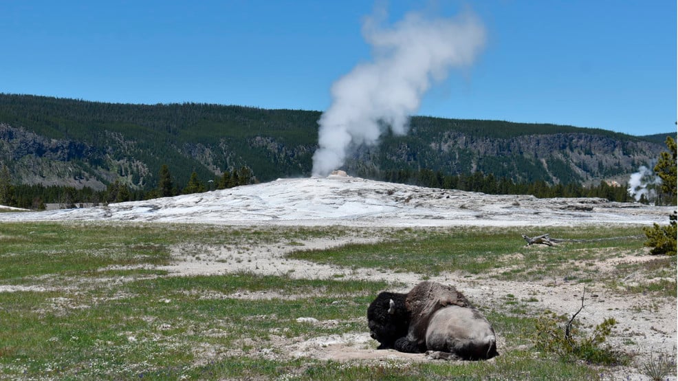 Featured image for Yellowstone Volcano Observatory releases 2022 annual report.