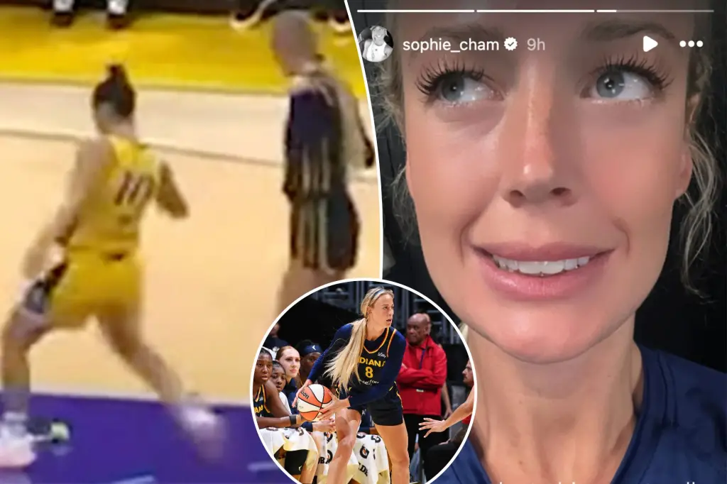 Featured image for Sex Toy Incidents Disrupt WNBA Games, Prompting Outcry