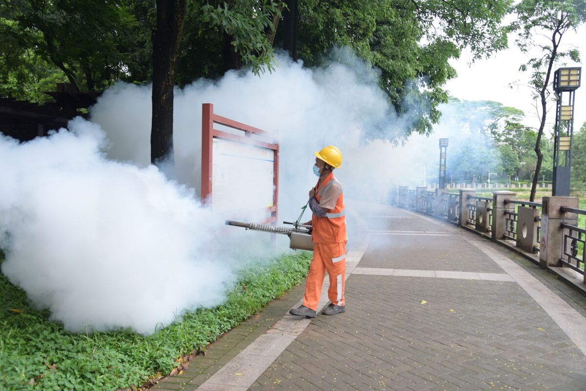 Featured image for China Implements New Measures to Combat Chikungunya Virus Spread