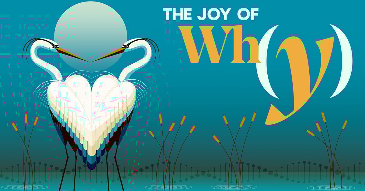 Featured image for Do Beautiful Birds Gain an Evolutionary Edge?