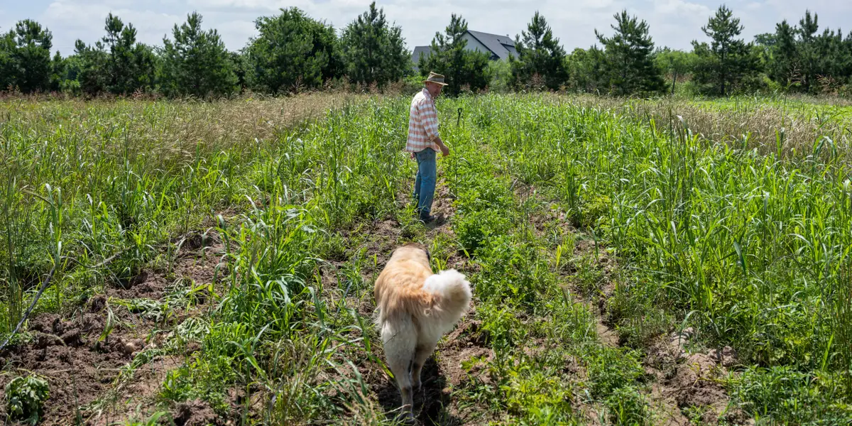 Featured image for Elon Musk's Texas ventures face pushback from locals over environmental concerns.