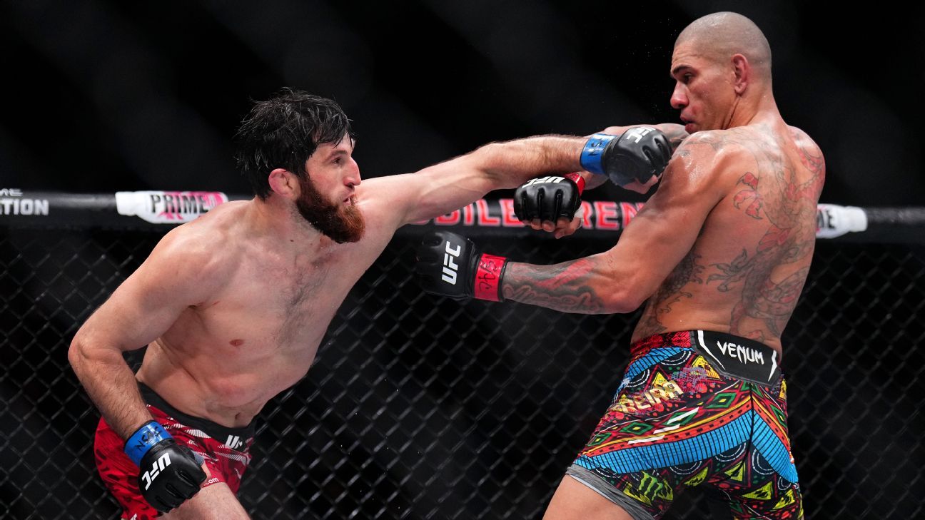 Featured image for UFC 320: Ankalaev vs. Pereira 2 Fight Preview and Results