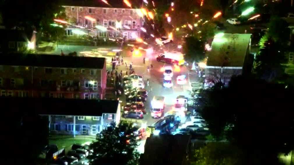 Featured image for Fireworks Chaos: Des Moines Police Car Targeted, Symphony Shines, and Animal Refuge at Risk