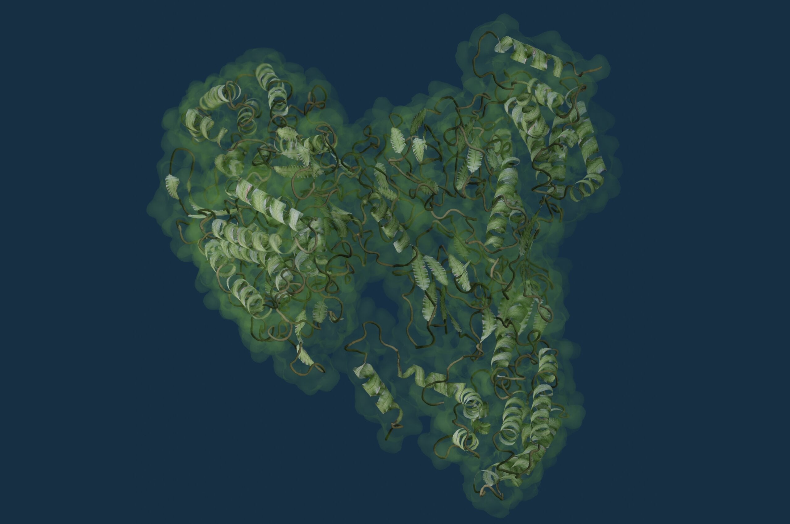 Featured image for "Ferns: Nature's Crop-Saving Insecticide"