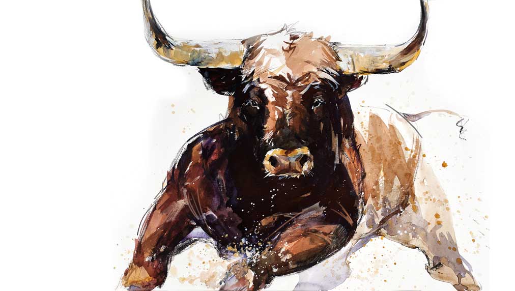 Featured image for "Stocks Surge on Strong Earnings and Positive Outlooks"