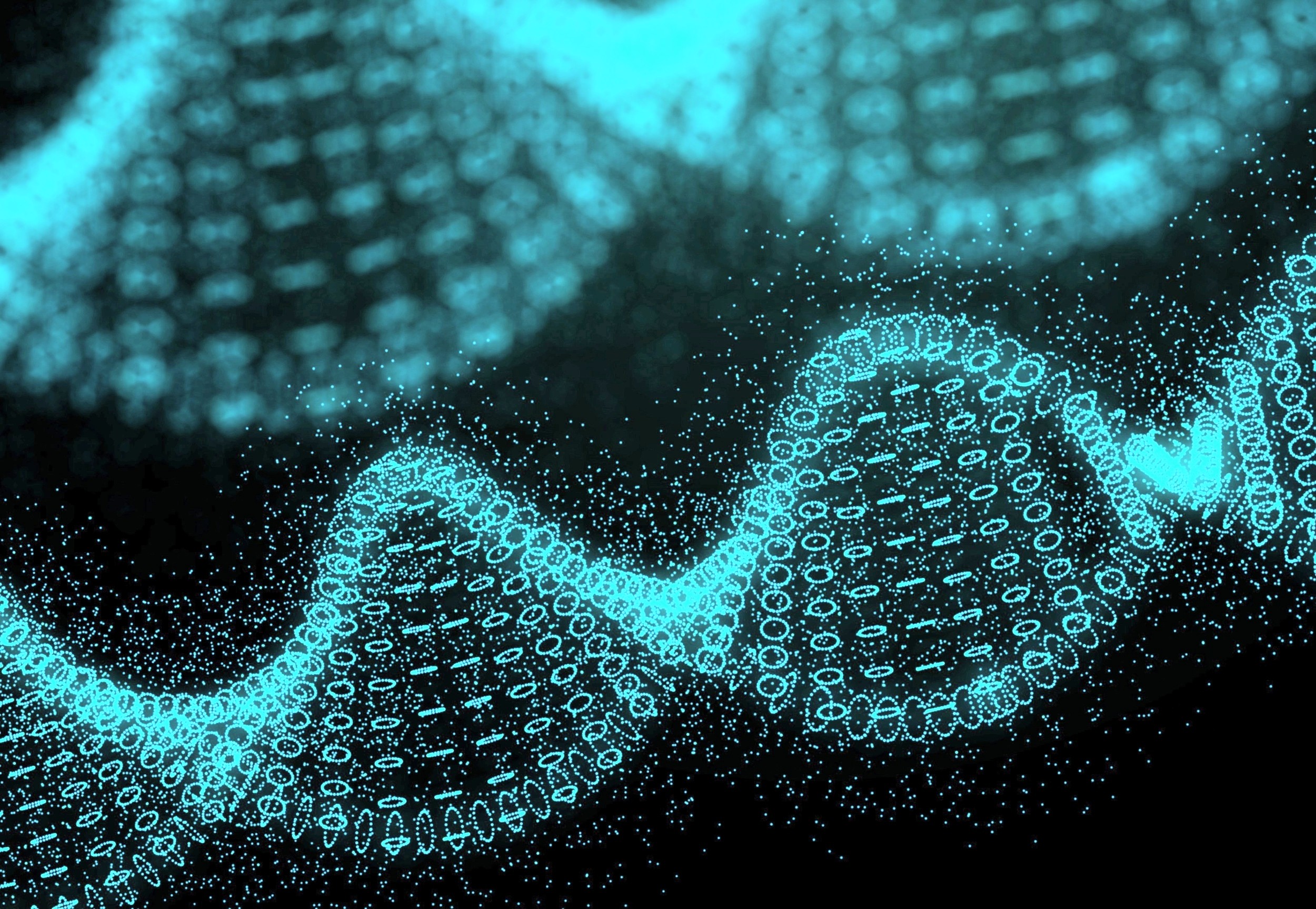 Featured image for Breakthrough in Human Genome Sequencing Unveils Genetic Complexity and Diversity