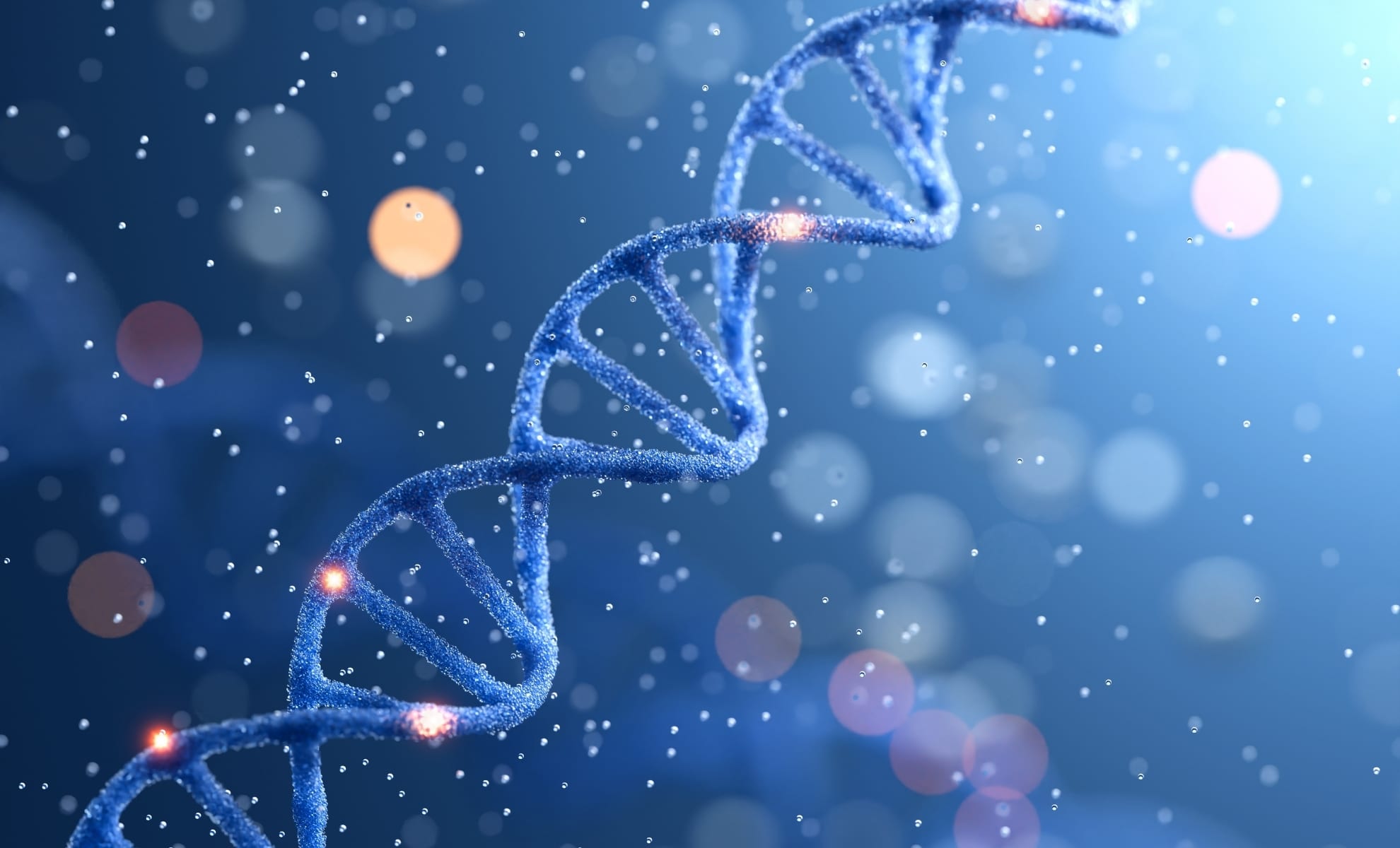 Featured image for Ancient DNA Discovered in Unexpected Location