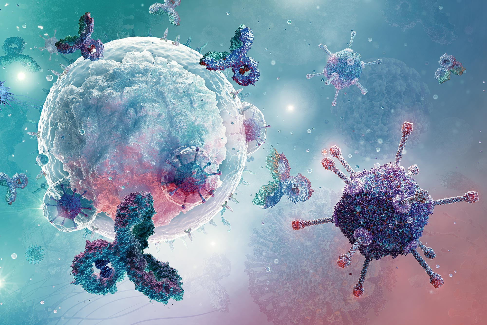 Featured image for Limited Blood Flow Accelerates Cancer Progression, Study Shows