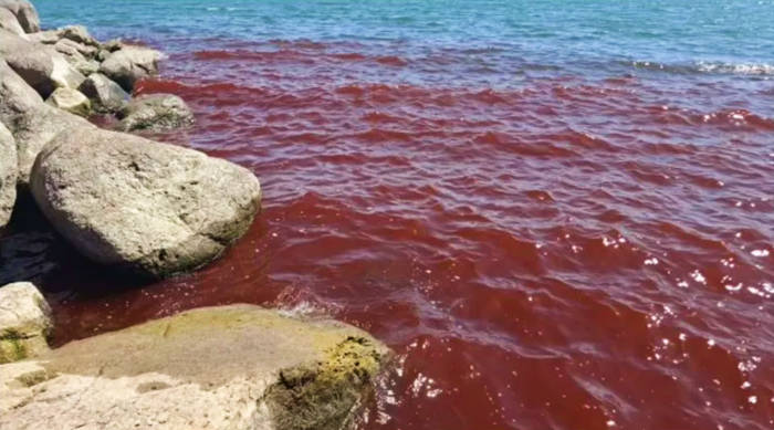 Featured image for Sea of Galilee Turns Blood Red, Sparking Biblical and Environmental Concerns