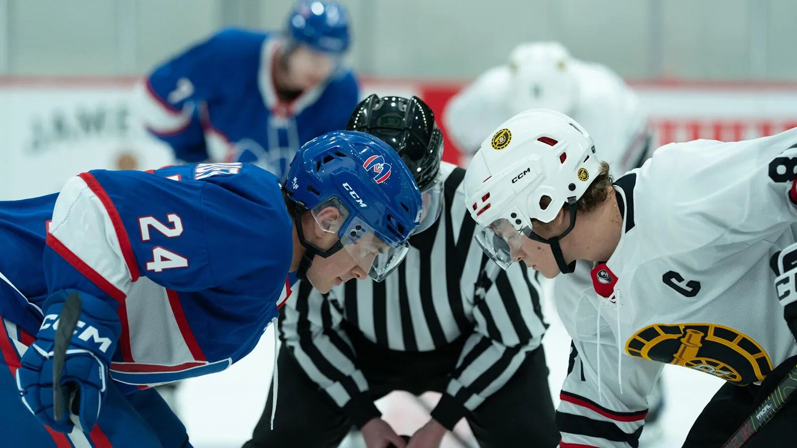 Featured image for Heated Rivalry Season 2: Release, Cast, and Impact