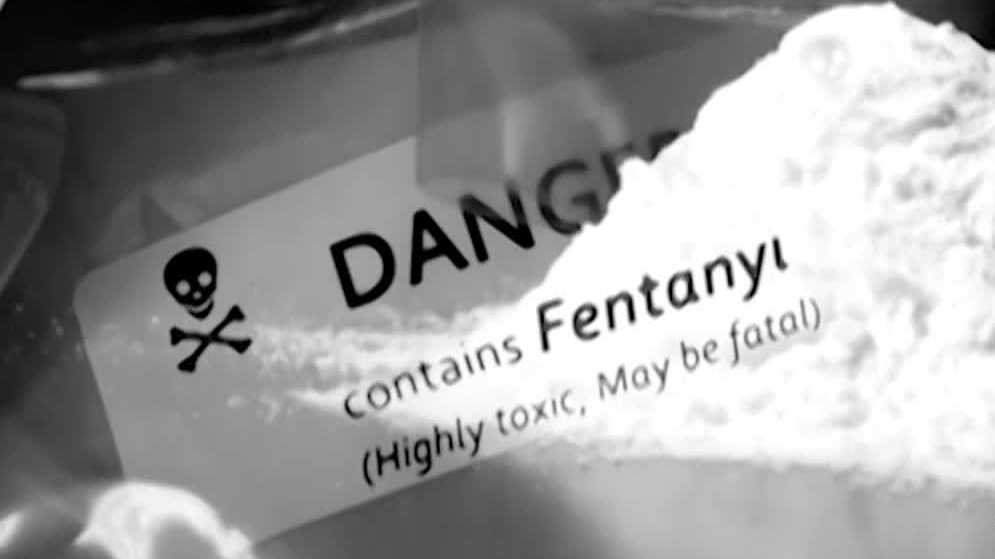 Featured image for Central Coast's Lower Overdose Death Rate Revealed by New Database