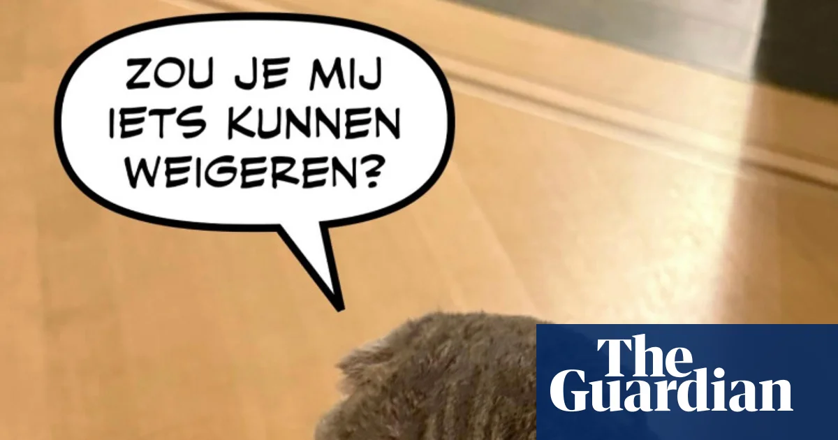Featured image for Belgian PM's Cat Maximus Becomes Social Media Sensation with Political Message