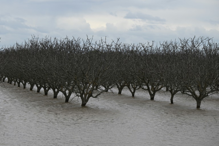 California's Ghost Lake Resurfaces Amidst Heavy Rainfall.