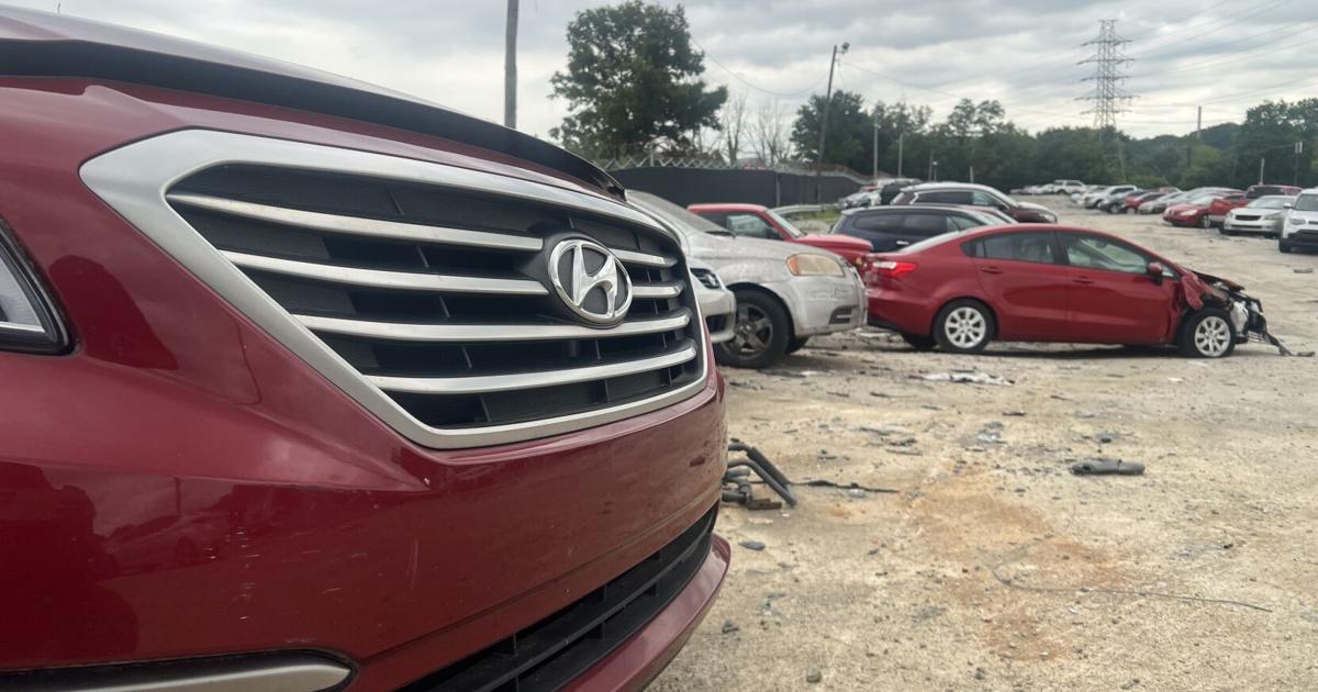 Featured image for Auto Theft Epidemic: 2000 Kias and Hyundais Stolen, Louisville Resident Shares Harrowing Experience