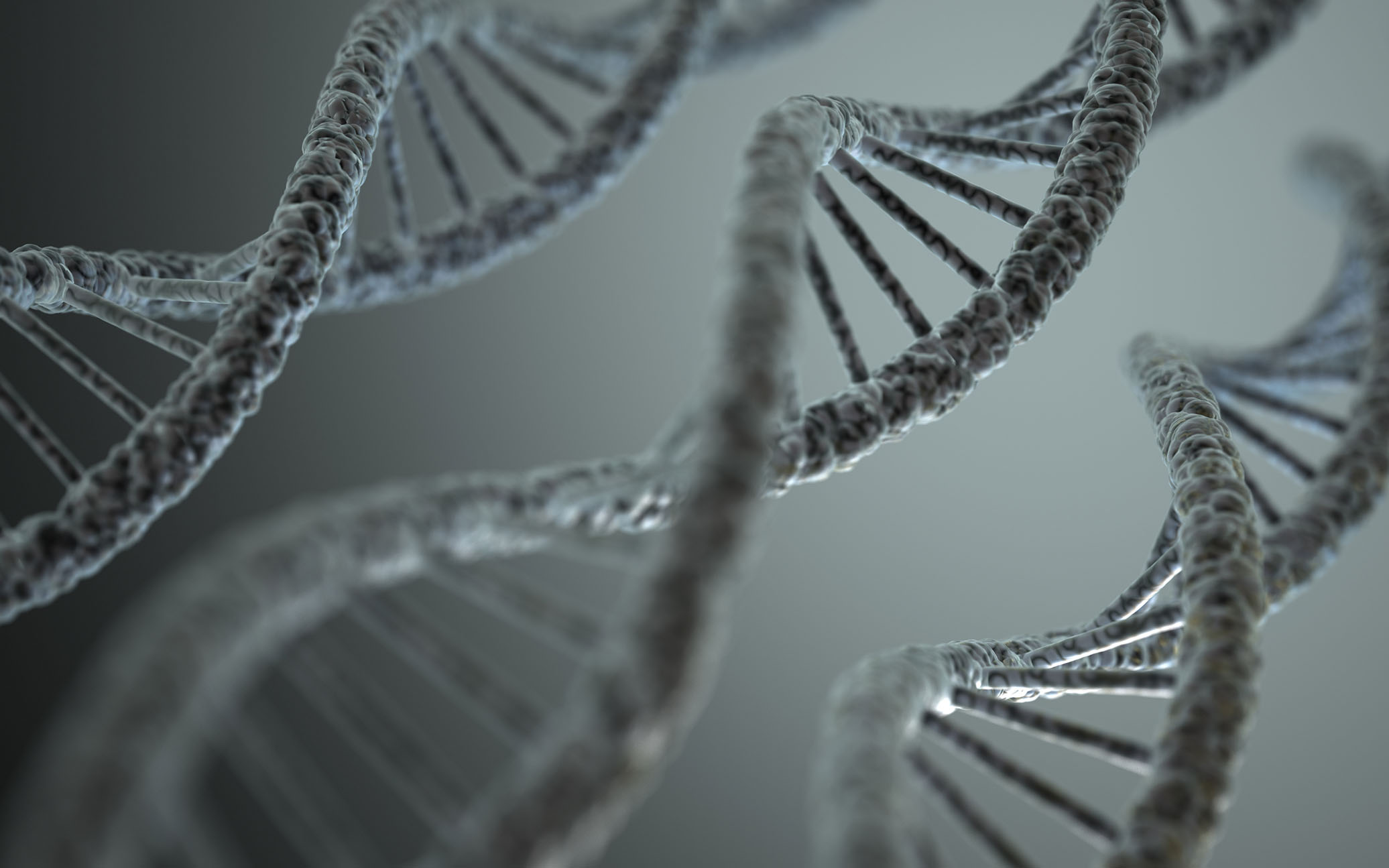 Featured image for Researchers Identify Four Distinct Autism Subtypes, Advancing Personalized Treatment