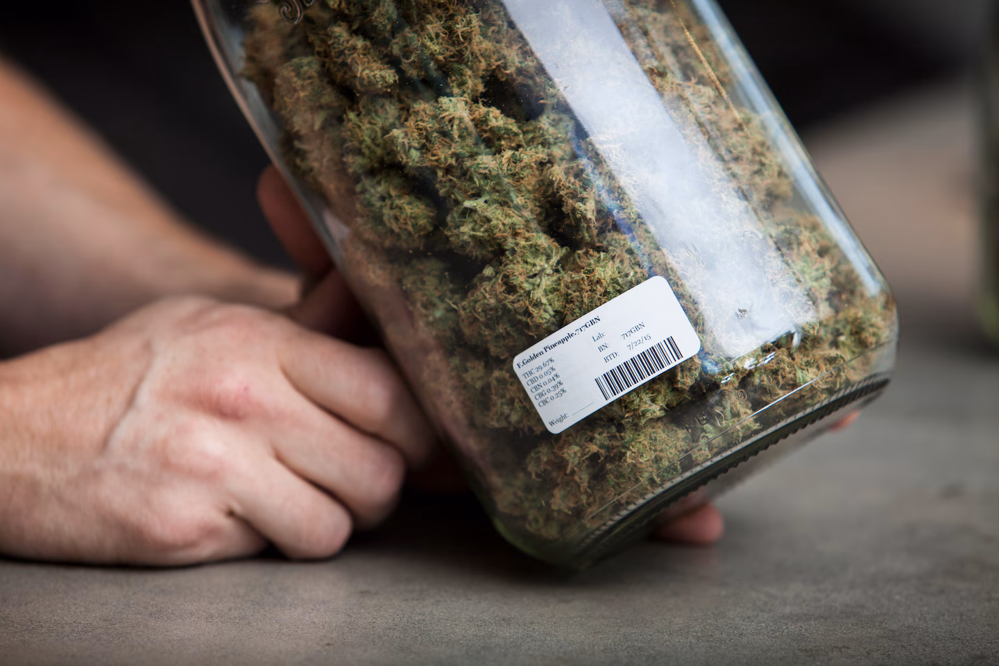 Featured image for Federal Health Agency Urges Marijuana Reclassification for Lower Risk