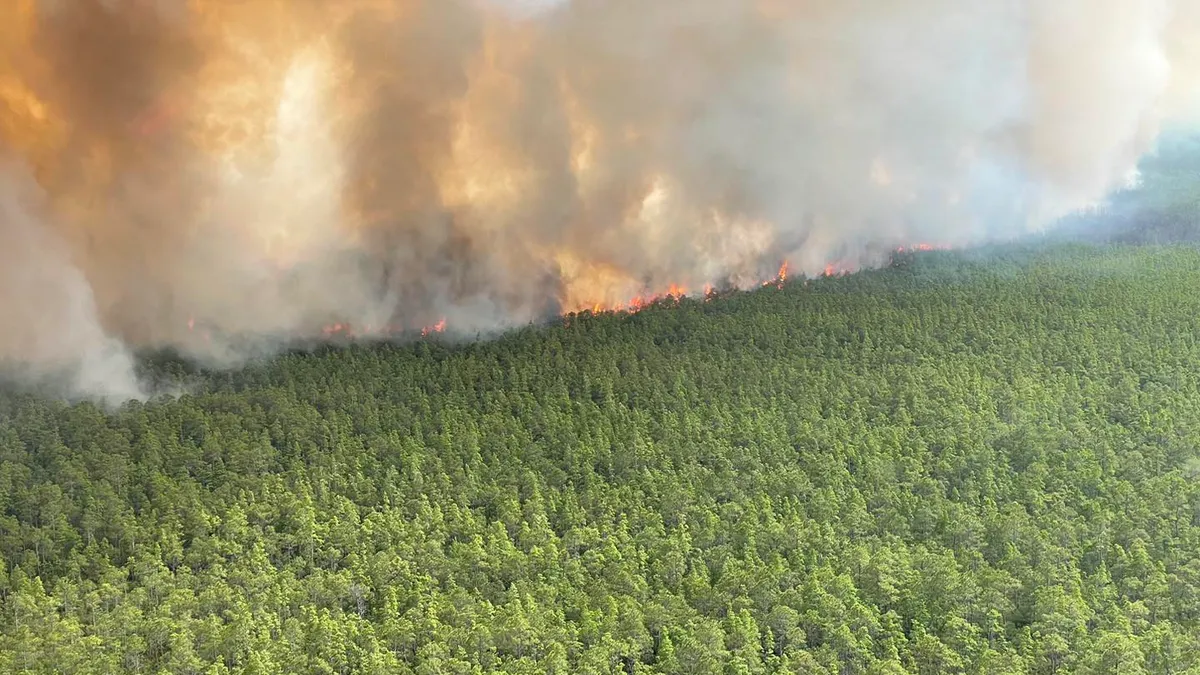 Featured image for Central Wisconsin Wildfire Spreads to 400 Acres, Nearly Contained