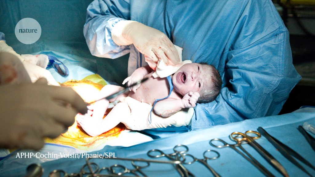 Featured image for Vaginal Seeding Improves Brain Development of C-Section Babies.