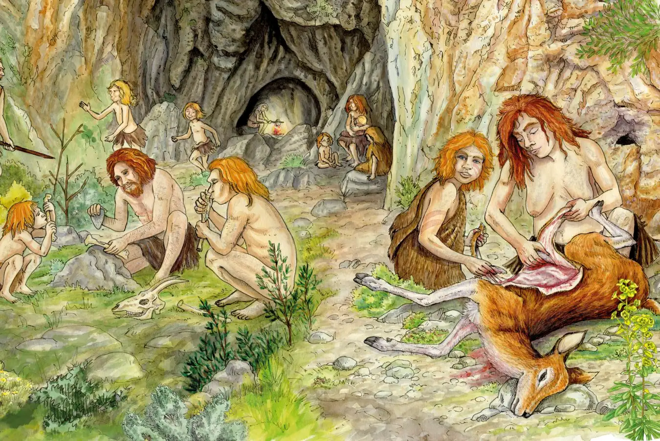 Featured image for Neanderthal Communities Developed Unique Local Food and Butchery Traditions