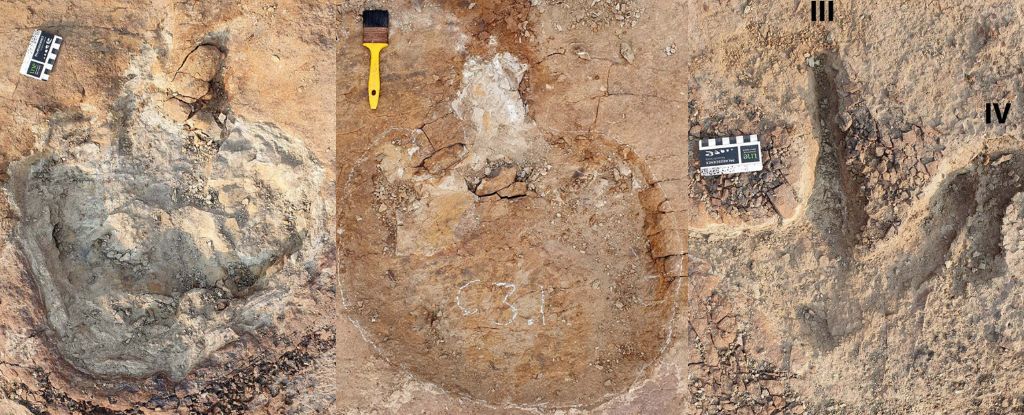 Featured image for Unprecedented Dinosaur Tracks Reveal New Insights