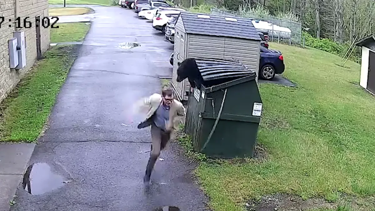 Featured image for West Virginia School Principal Startled by Dumpster Bear Video