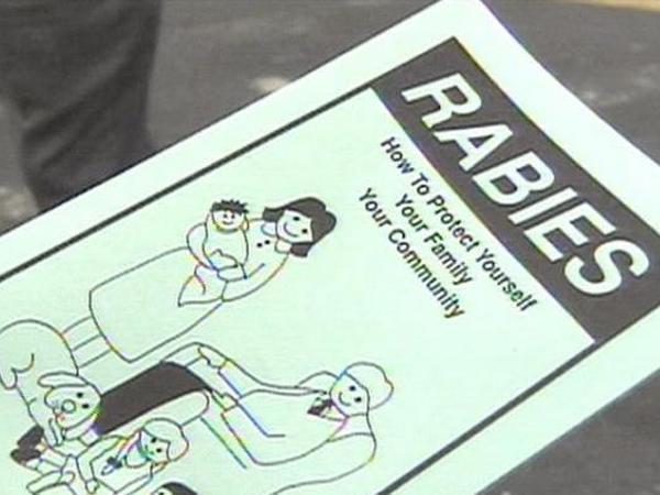 Featured image for Rabies Outbreak: Multiple Cases Confirmed in Wake County and Jekyll Island.