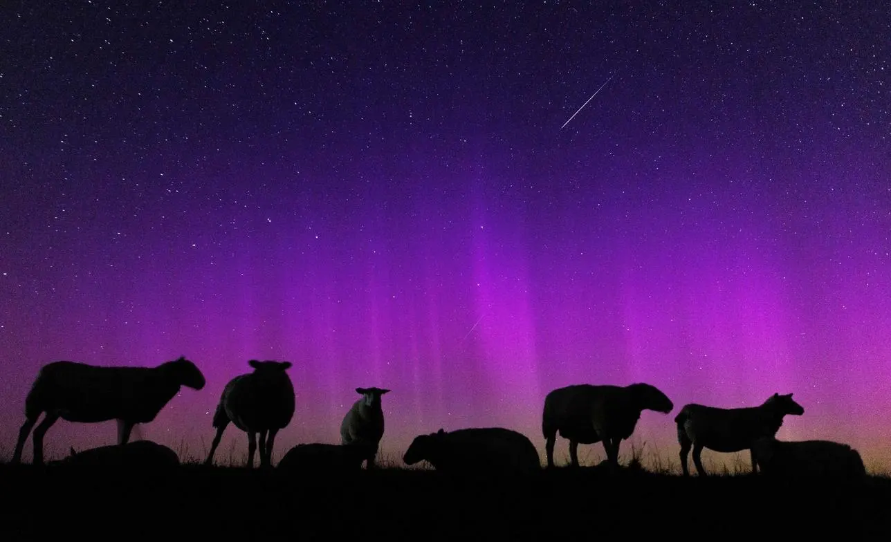 Featured image for Spectacular Sky Event: Meteors, Comets, and Aurora This Monday