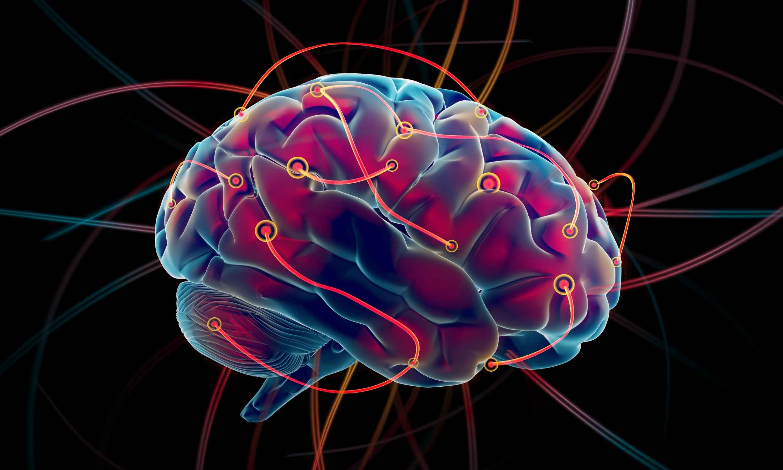 Featured image for Simple daily habits that may protect against cognitive decline and dementia