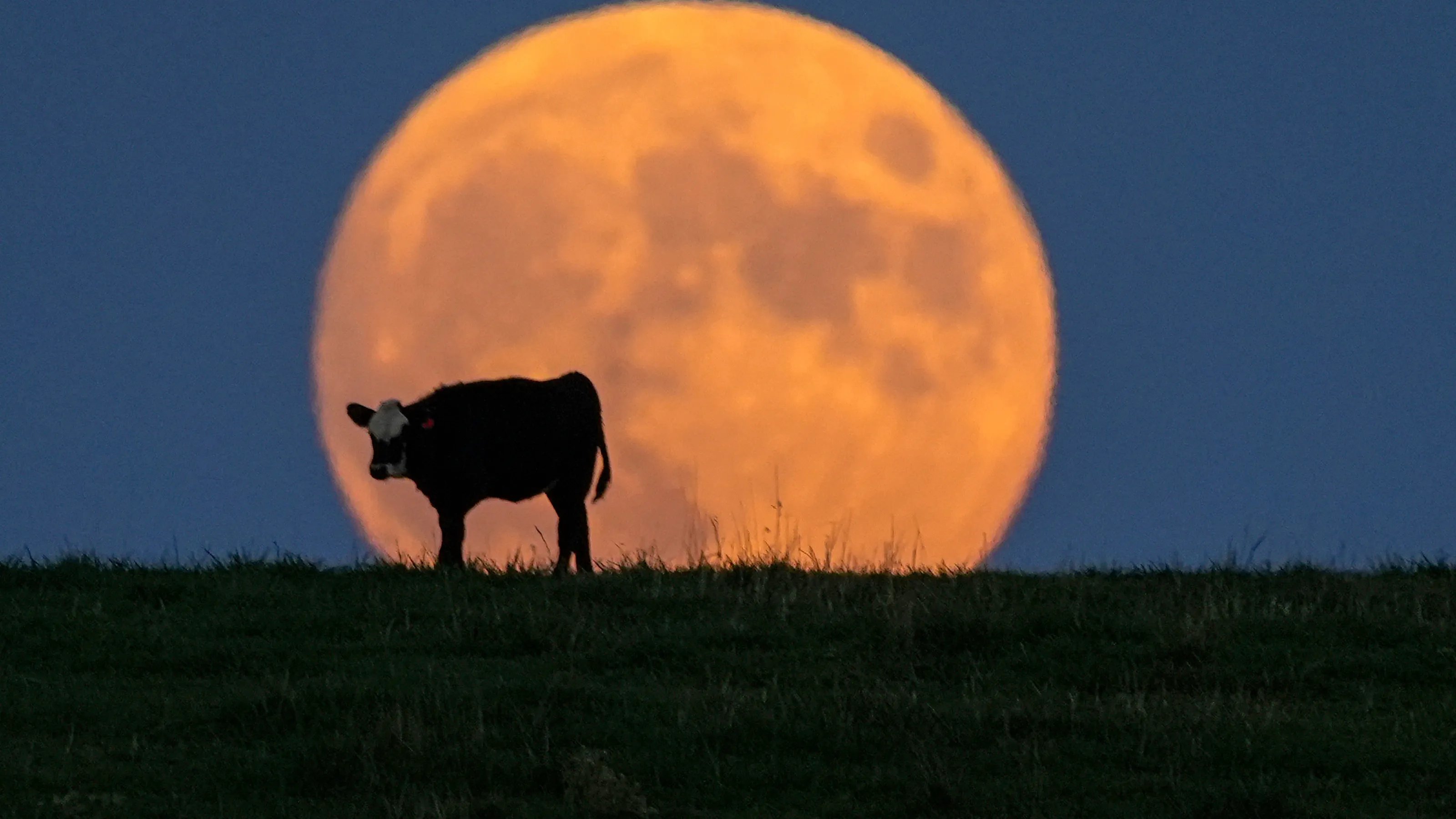 Featured image for Harvest Moon and Supermoons: What Hunters and Skywatchers Need to Know
