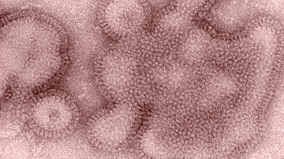 Featured image for North Carolina Reports First Flu-Related Death of 2025-2026 Season