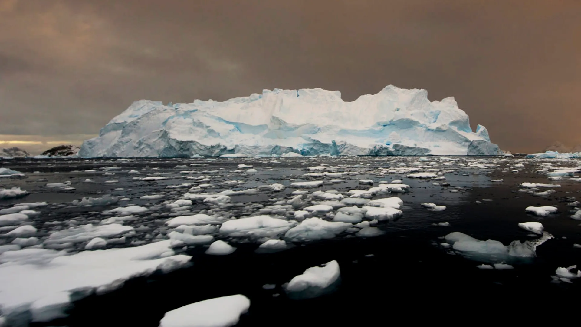 Featured image for Scientists Discover Lobster-Like Creatures Deep in Antarctic Ice