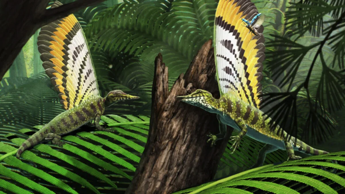 Featured image for Ancient Reptile Reveals Early Evolution of Feathers and Skin Features