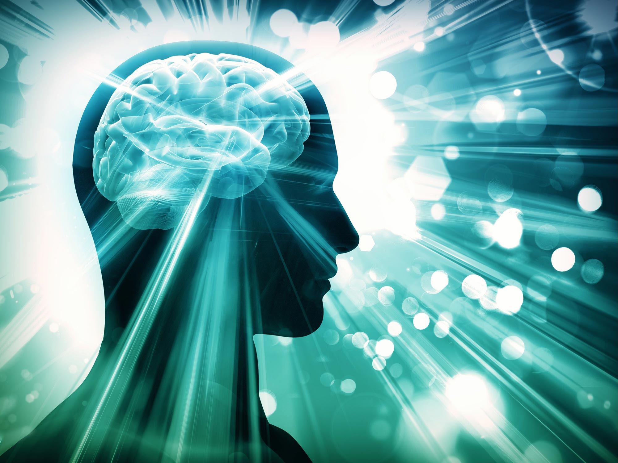 Featured image for Fermented Foods for Brain Health: Which Ones Reign Supreme?