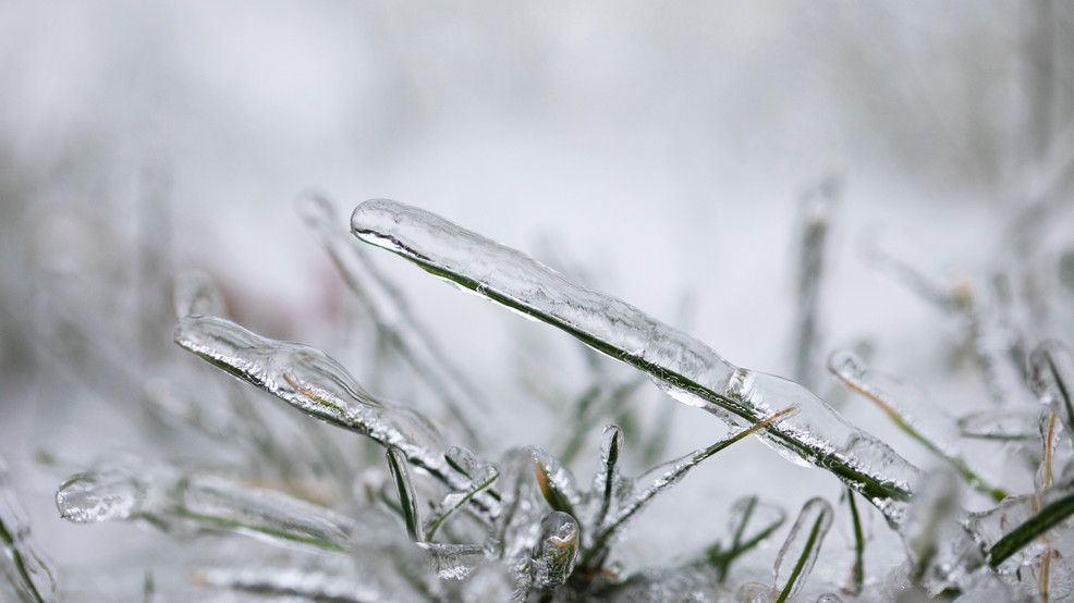 Featured image for Tragic Power Line Accident Claims 3 Lives in Portland, Toddler Rescued