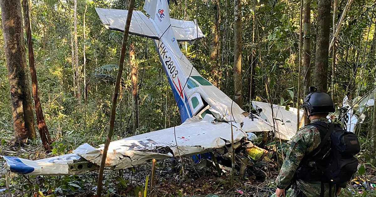 Featured image for Surviving 40 Days in the Amazon Jungle: The Incredible Story of Four Children.