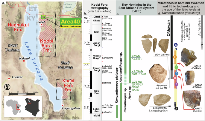 Featured image for Ancient Stone Tools Reveal Early Human Innovation Amid Climate Change
