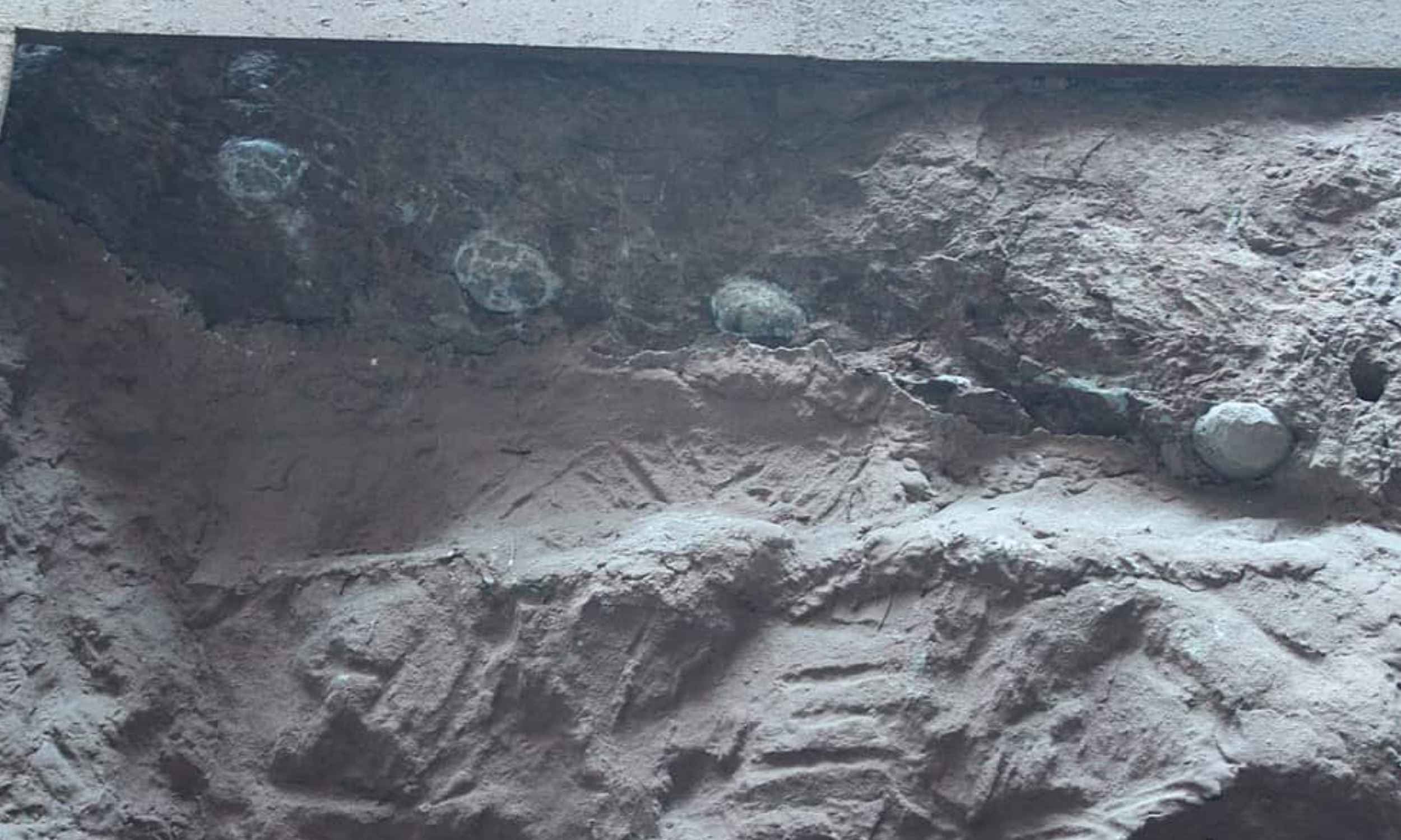 Featured image for Giant Crystal-Filled Dinosaur Eggs Discovered