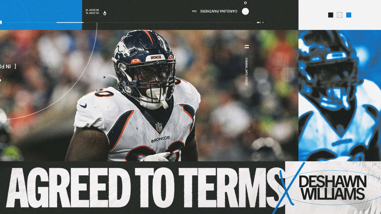 Featured image for Panthers sign DeShawn Williams.