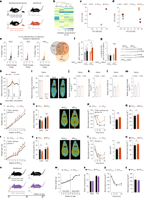 Featured image for Prenatal Exposure to Fatty Food Cues and Childhood Obesity Risk