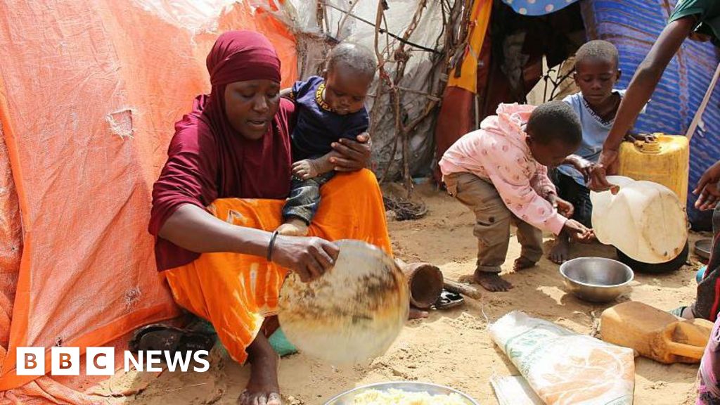 Featured image for US Suspends Aid to Somalia Amid Aid Seizure Allegations