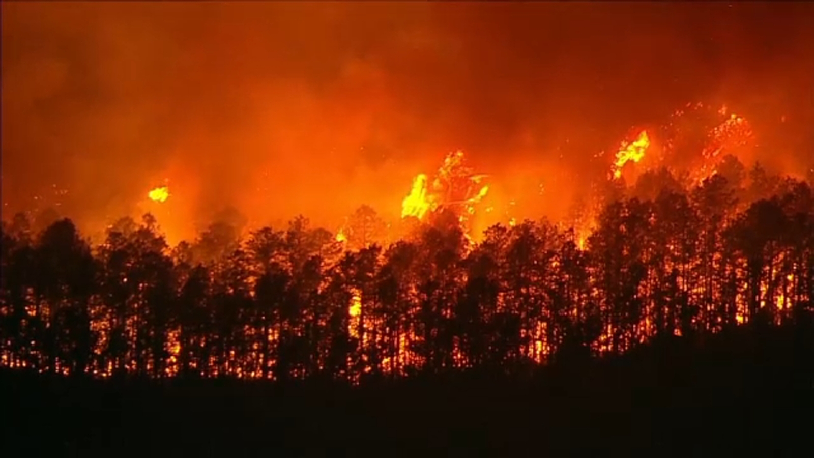 Featured image for Wildfire Rages Through Ocean County, NJ