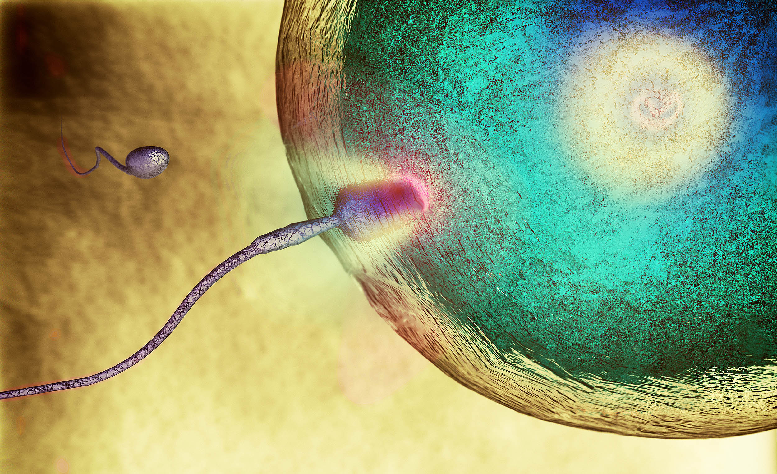 Featured image for Scientists uncover how sperm defy a fundamental law of physics