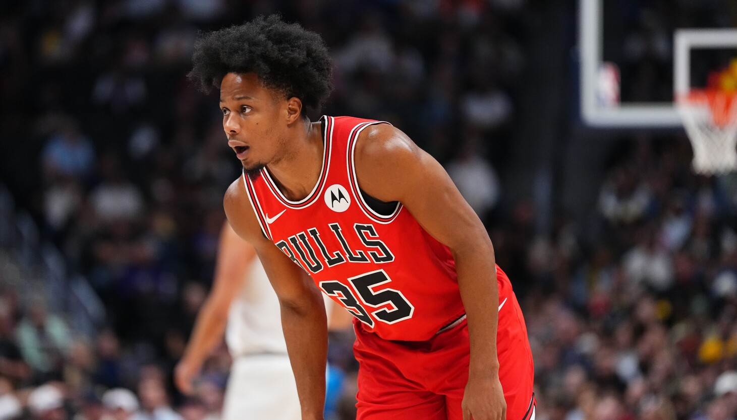 Featured image for Chicago Bulls' Early Season Surge Sparks Excitement