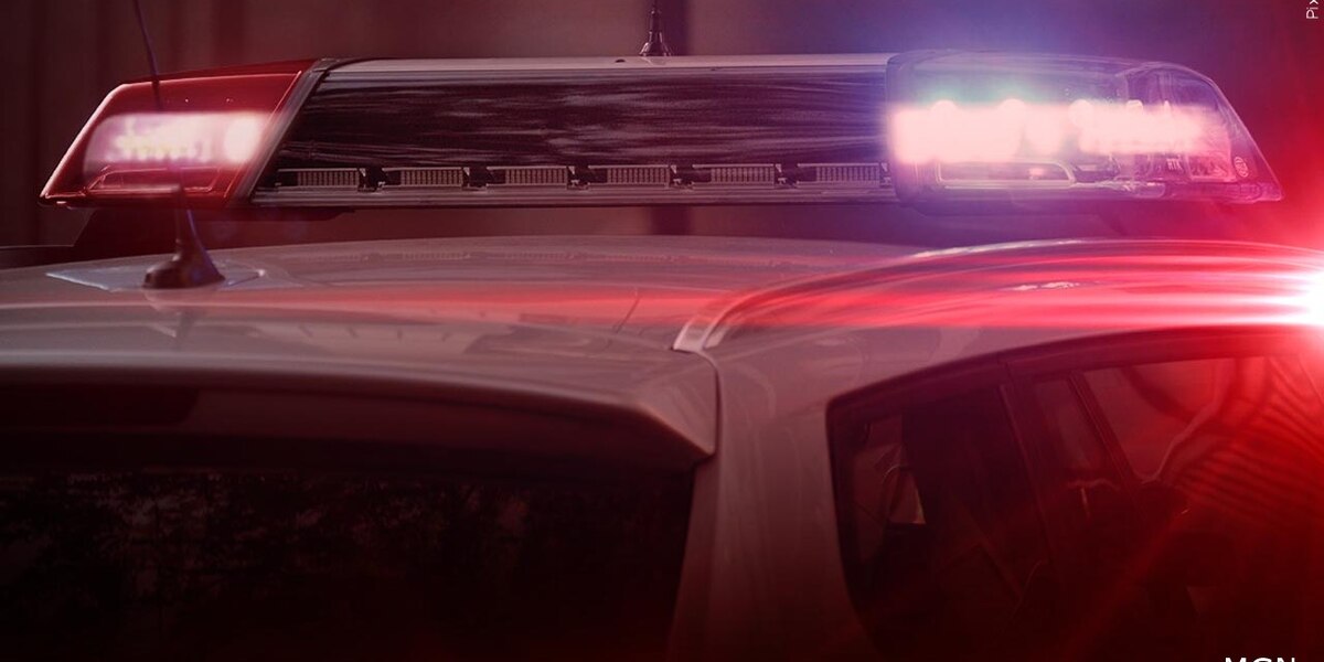 Fatal Shooting Claims Life of Teenager in Statesboro