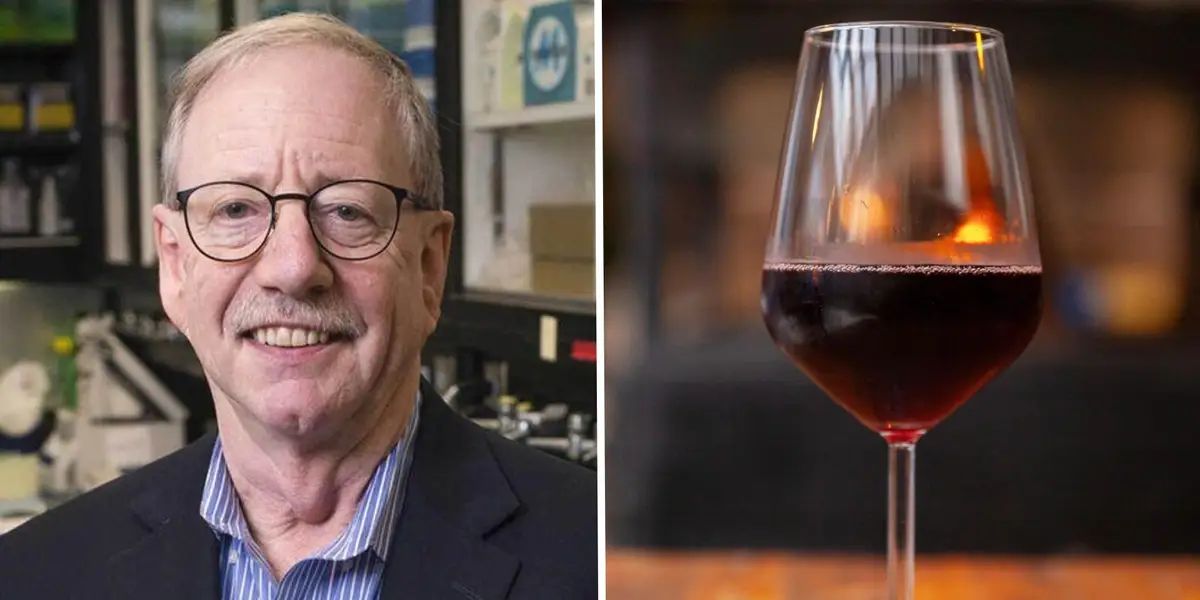 Featured image for Longevity Expert Advocates Simple Anti-Aging Habits Over Immortality Obsession