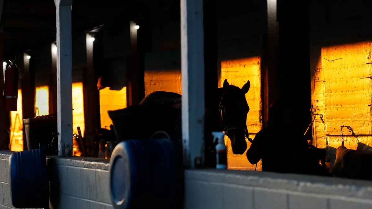 Featured image for Calls for Change in Horse Racing After Multiple Deaths at Churchill Downs.