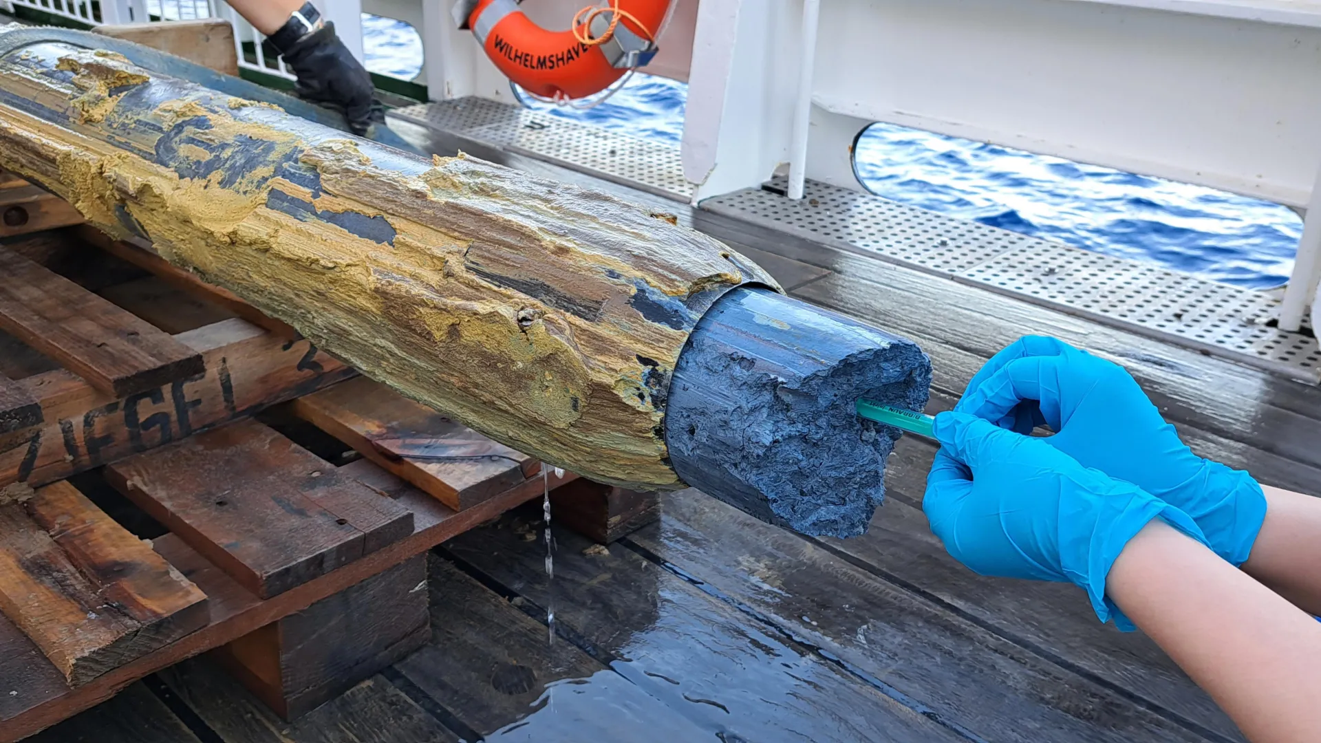 Featured image for Scientists Discover Thriving Microbial Life in Earth's Most Extreme Environments