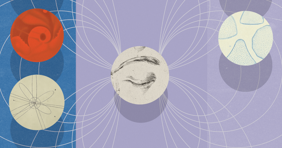 Featured image for Exploring Consciousness: 6 Questions with Annaka Harris