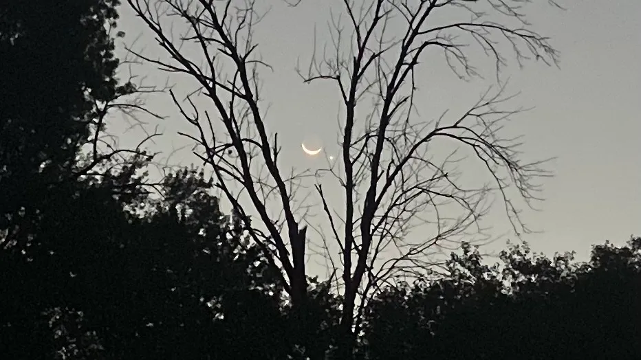 Featured image for Upcoming Celestial Events: Moon, Venus, and Planets Align for Stunning Conjunctions